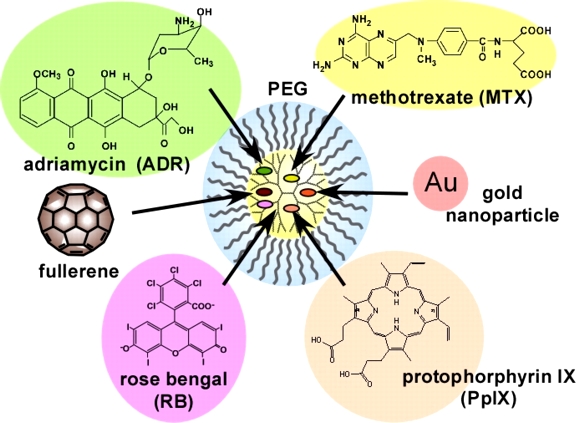 Encapsulation of various materials in the PEGylated dendrimers