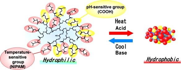 pH/thermal-responsive polymer using polyglycerol
